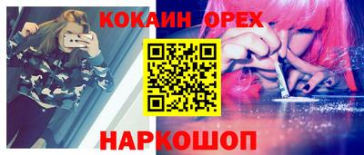 тгк Бийск