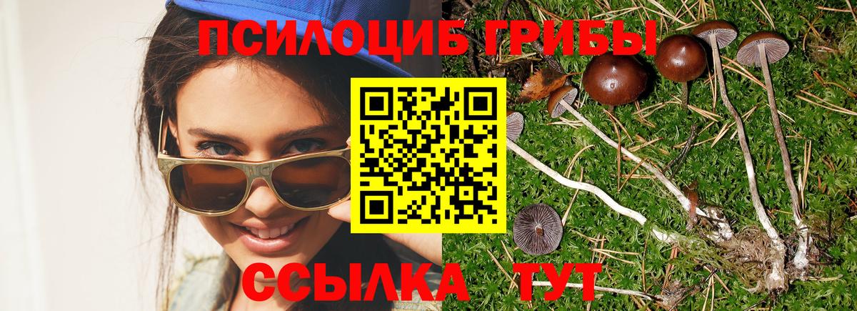 Галлюциногенные грибы мицелий Кирово-Чепецк