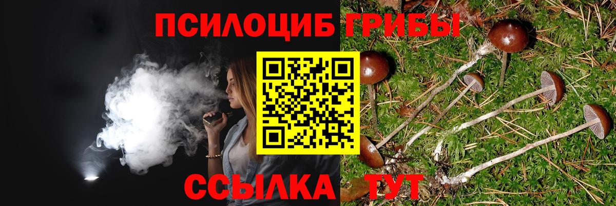 Галлюциногенные грибы MAGIC MUSHROOMS  Вход с VPN  Кирово-Чепецк 